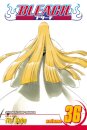 Bleach, Vol. 36