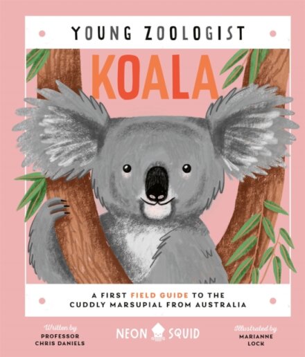 Koala (Young Zoologist)
