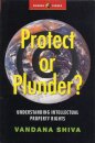 Protect or Plunder?