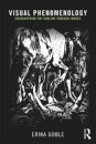 Visual Phenomenology