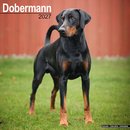 Dobermann Wall