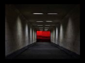 Perou/Hyde: Tunnel Vision