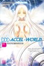 Accel World, Vol. 16 (light novel)