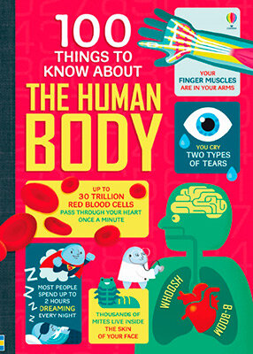 100 Things To Know About The Human Body