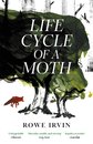 Life Cycle Of A Moth