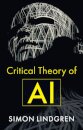 Critical Theory of AI
