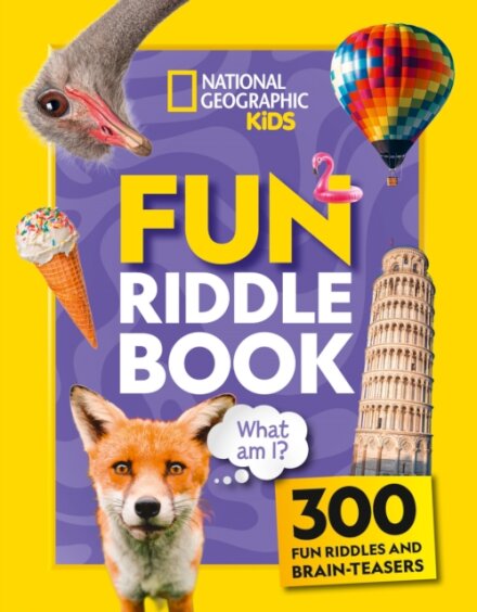 Fun Riddle Book