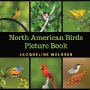 North American Birds Picture Book