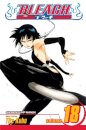Bleach, Vol. 18