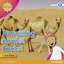 My Gulf World and Me Level 3 non-fiction reader: Amazing camel facts!