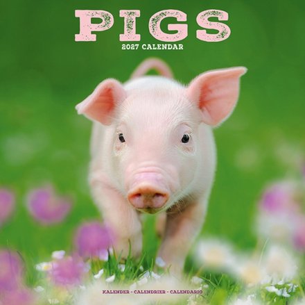 Pigs Wall