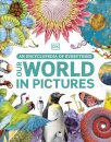 Our World In Pictures