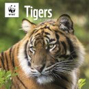 Wwf Tigers Square Wall Calendar 2026