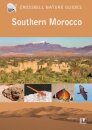 Southern Morocco
