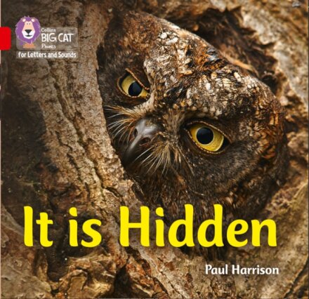 It is Hidden