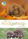 RSPB Spotlight Hedgehogs