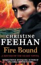 Fire Bound