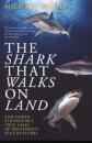 The Shark That Walks on Land
