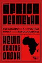 África Vermelha: resgatando a política negra revolucionária