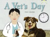 Bug Club Non-fiction Green B/1B A Vet's Day 6-pack