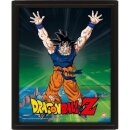 Dragon Ball Z (Power Levels Increased) - Framed