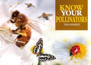 Know Your Pollinators