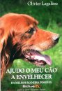Ajudo O Meu Cão A Envelhecer