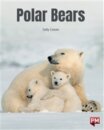 POLAR BEARS