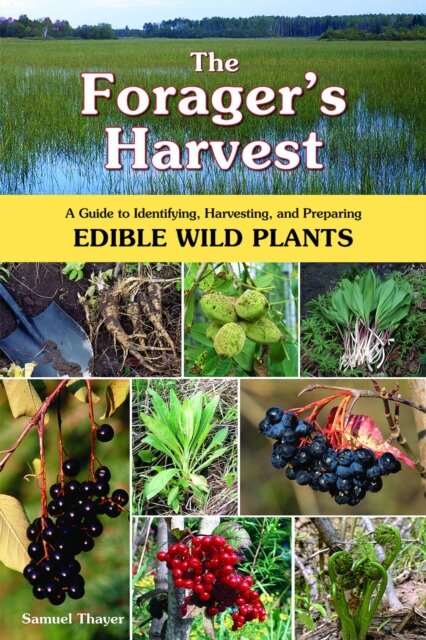 The Forager's Harvest