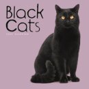 Black Cats Square Wall Calendar 2026