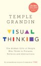 Visual Thinking : The Hidden Gifts of People Who Think in Pictures, Patterns and Abstractions