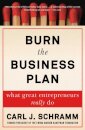 Burn the Business Plan