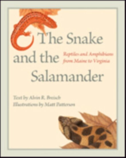 The Snake and the Salamander