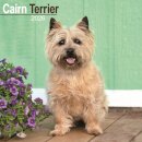Cairn Terrier Calendar 2026  Square Dog Breed Wall Calendar - 16 Month