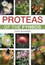 Proteas of the Fynbos
