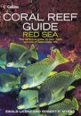 Coral Reef Guide Red Sea
