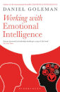 Working With Emotional Intelligence