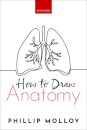 How To Draw Anatomy
