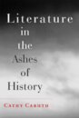 Literature in the Ashes of History