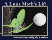 A Luna Moth's Life