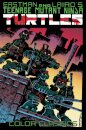 Teenage Mutant Ninja Turtles Color Classics Vol 1