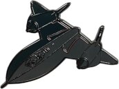 Blackbird Pin Badge