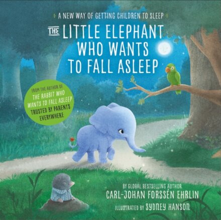 The Little Elephant Who Wants to Fall Asleep