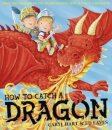 How To Catch A Dragon