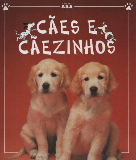 Cães E Cãezinhos