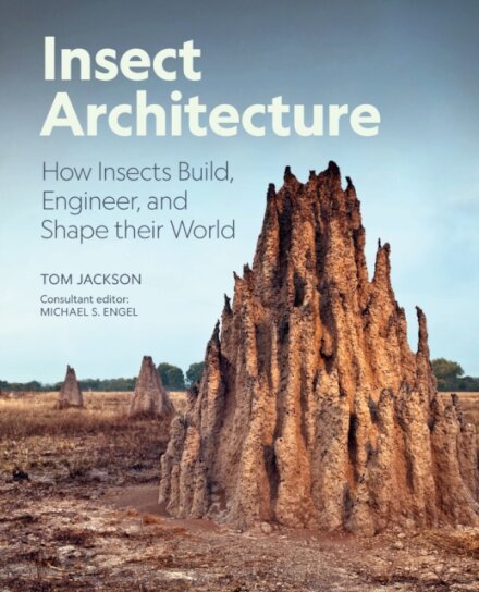 Insect Architecture