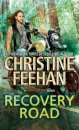 Recovery Road