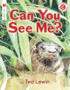 Can You See Me?