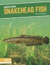 Snakehead Fish