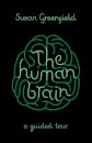 The Human Brain